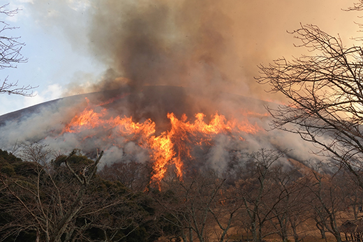 大室山の山焼きは2月9日です